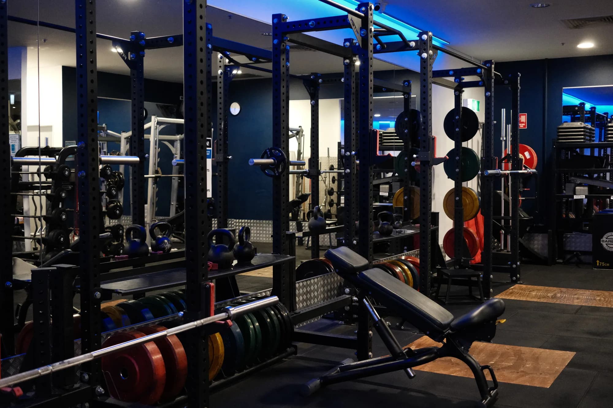 Squat racks with bumper plates and lifting platforms